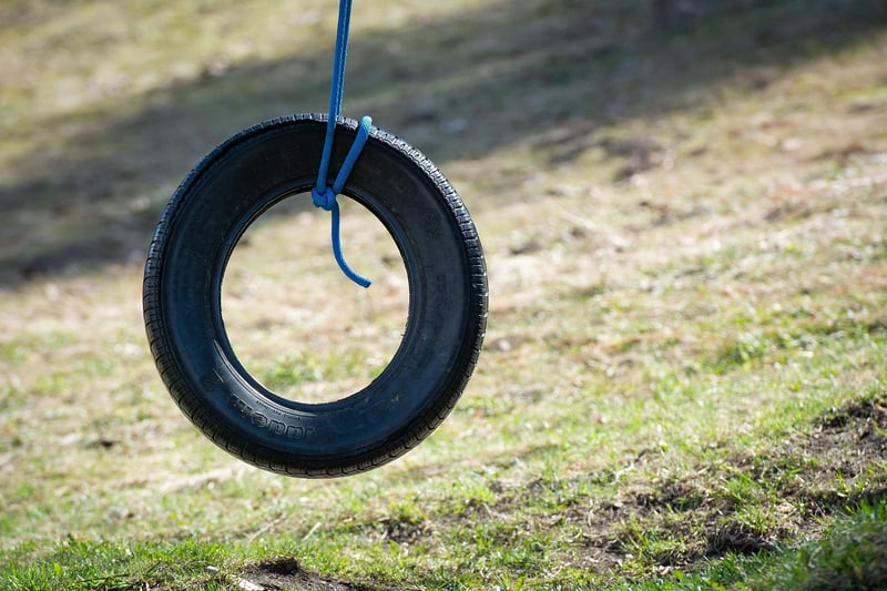 Repurposed Tire Swing